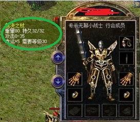 热血典藏最新爆料攻略视频,最新爆料视频深度解析  第2张