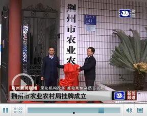 荆州市小电视台新闻爆料,揭露当地民生问题，关注市民呼声  第3张