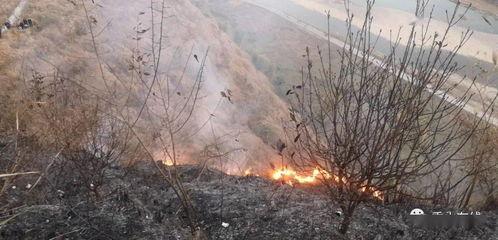 狮子山爆料视频最新版本,独家内幕大曝光! 第2张 狮子山爆料视频最新版本,独家内幕大曝光! 第2张